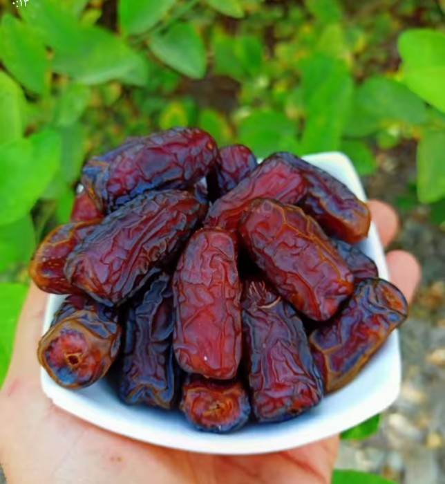 خرید خرما پیارم 600 گرمی + قیمت عالی با کیفیت